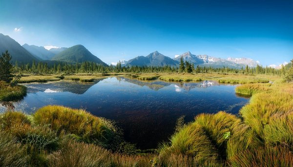 10 destinations idéales pour une pêche en camping réussie